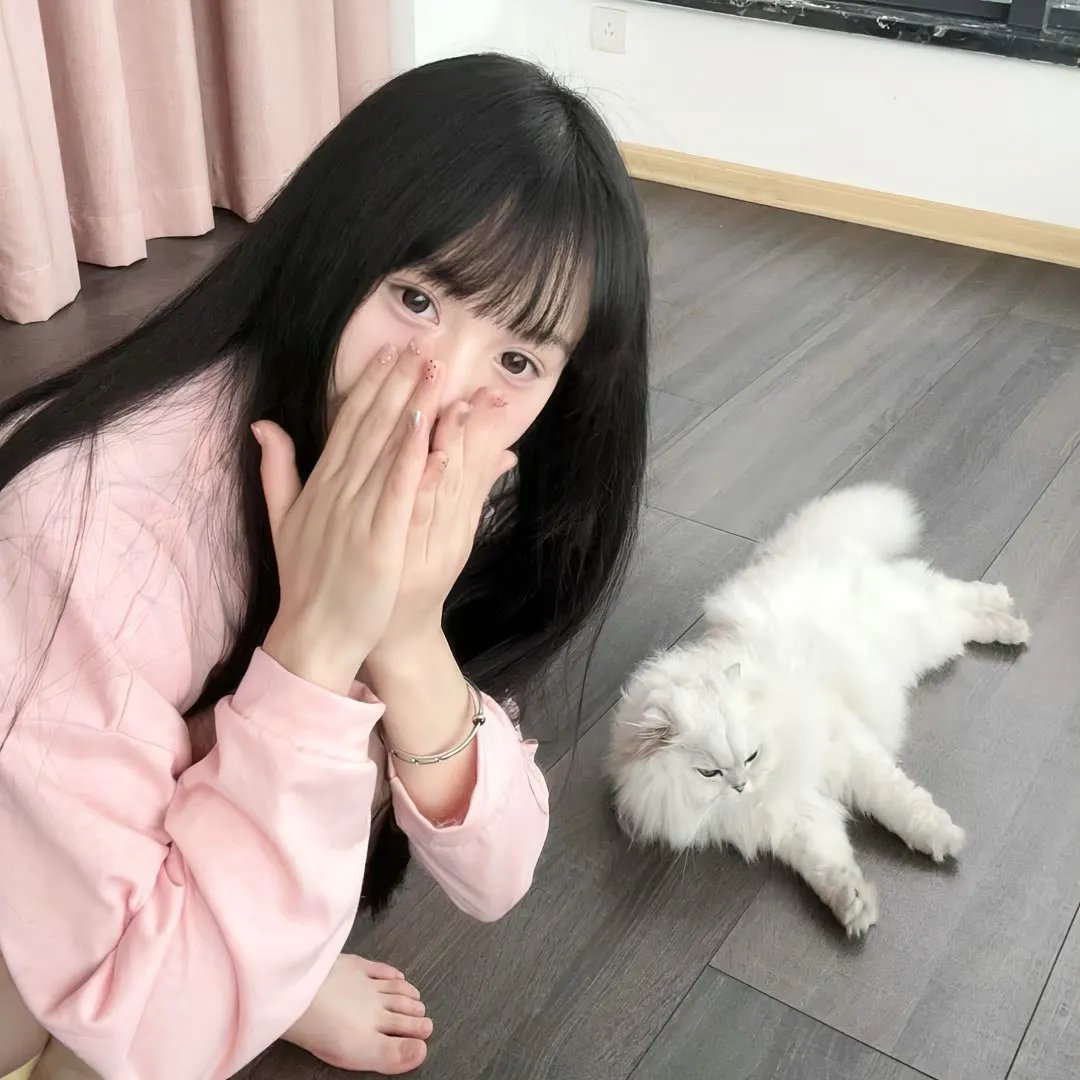 萌犬好声音